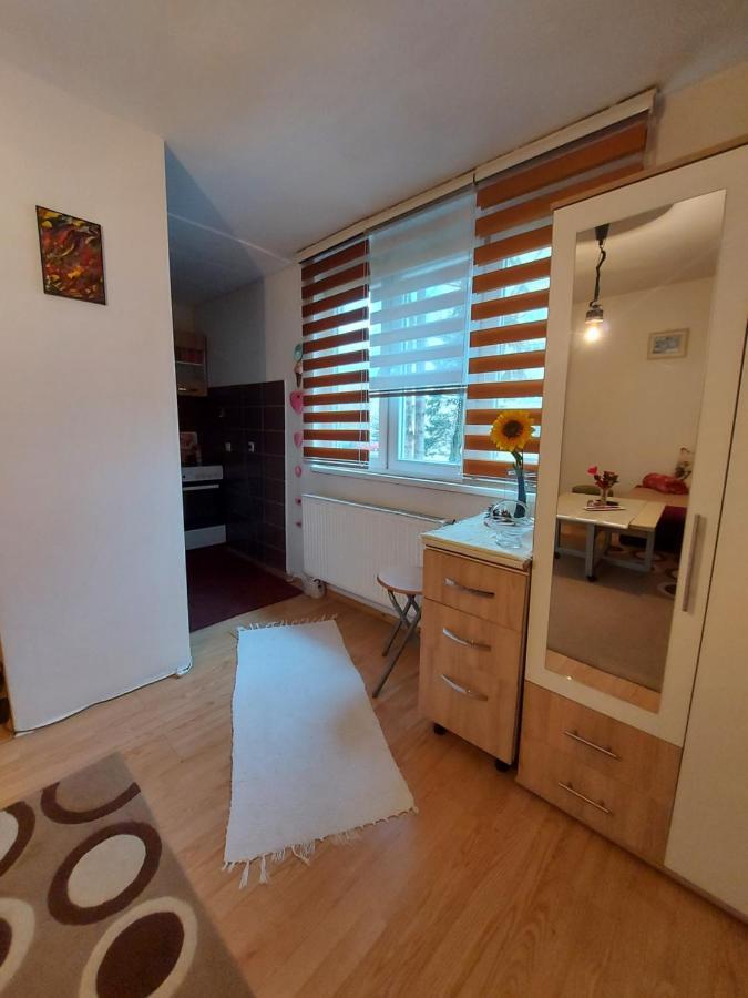 サラエヴォAda Apartmanアパートメント エクステリア 写真