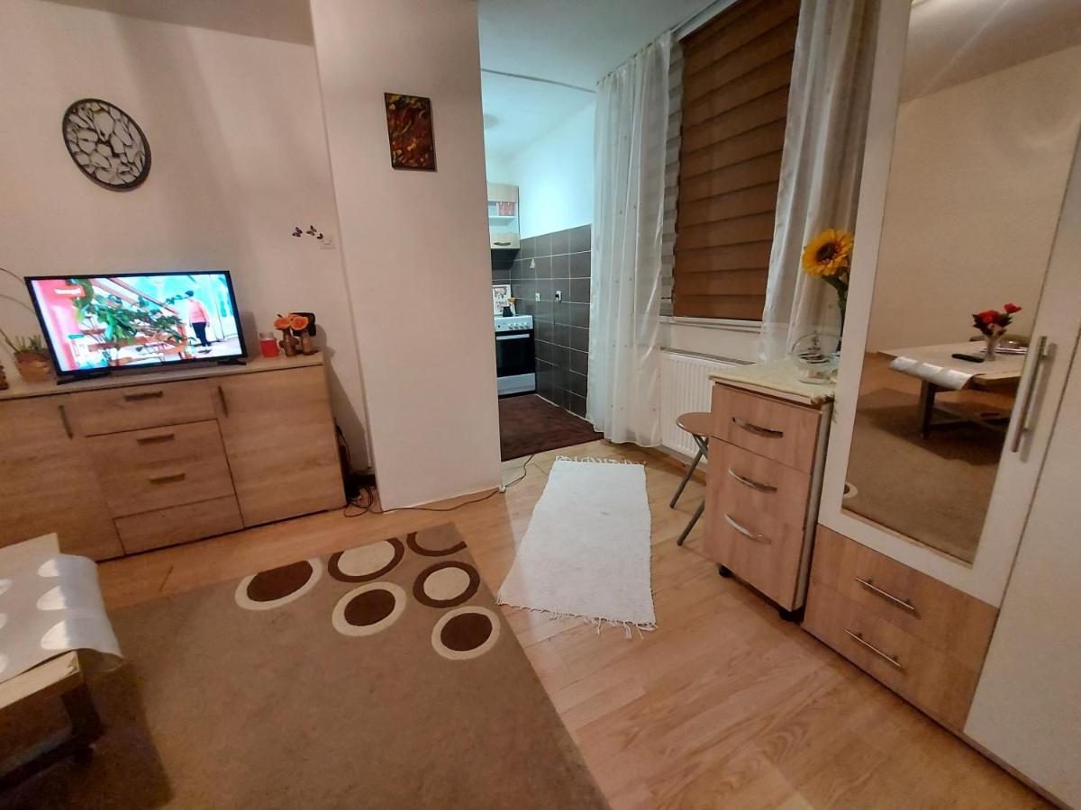 サラエヴォAda Apartmanアパートメント エクステリア 写真